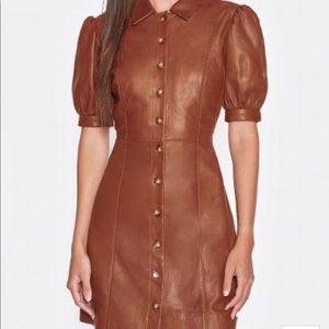 Joie Leather Dress
